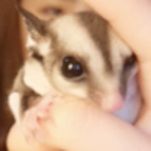 Meet your Posher, Tracy